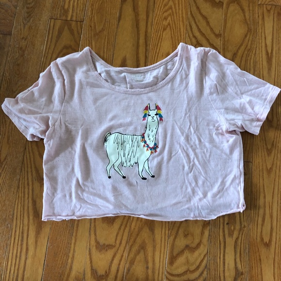 llama crop (: - Picture 2 of 2